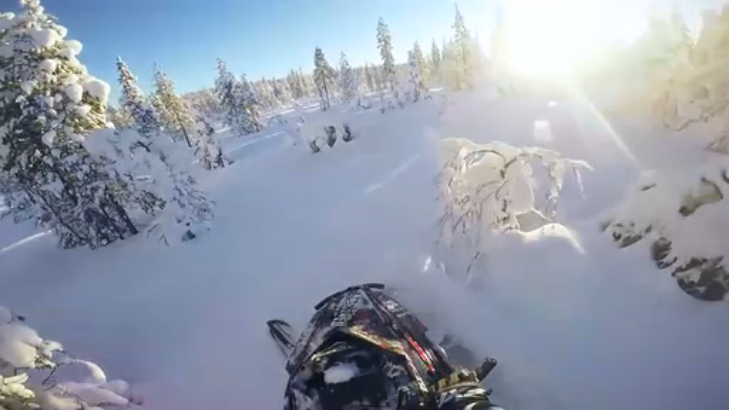 На снегоходе по утреннему лесу смотреть онлайн