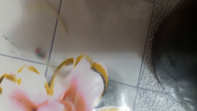 Как сплести кольцо из бисера "Вишенки" смотреть онлайн