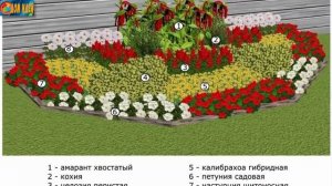 5 правил создания идеального цветника [Красивые цветники своими руками]