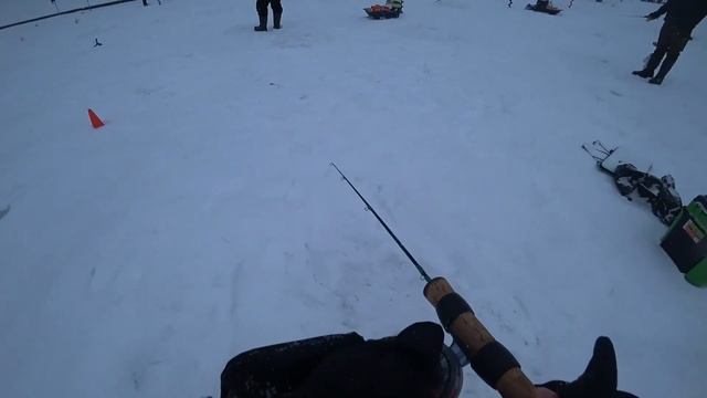 Соревнование по ловле форели в Парус Север. смотреть онлайн