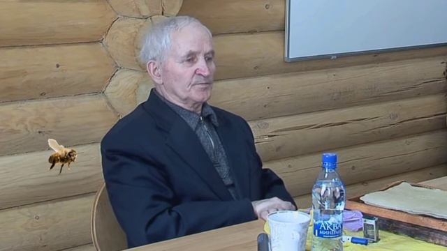 Хоботок пчелы. Какие лучше пчёлы? Длиннохоботные или короткохоботные пчёлы. В.Г. Кашковский смотреть онлайн