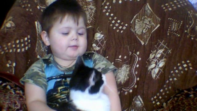 МЯУ МЯУ плачет киска