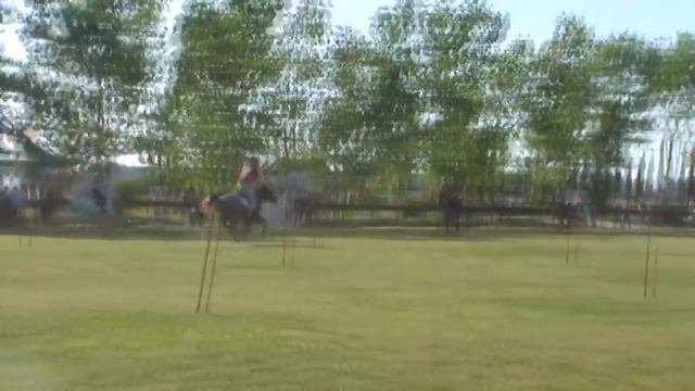 Italian Championships 2014 - Mounted Games | Equicast | смотреть онлайн