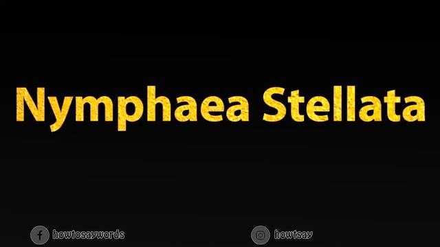 How To Pronounce Nymphaea Stellata