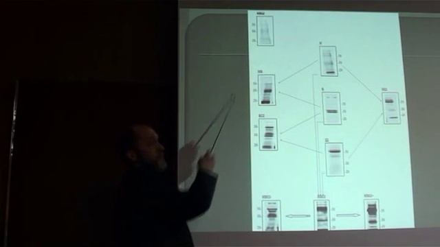 Взаимодействие людей с точки зрения биохимии смотреть онлайн