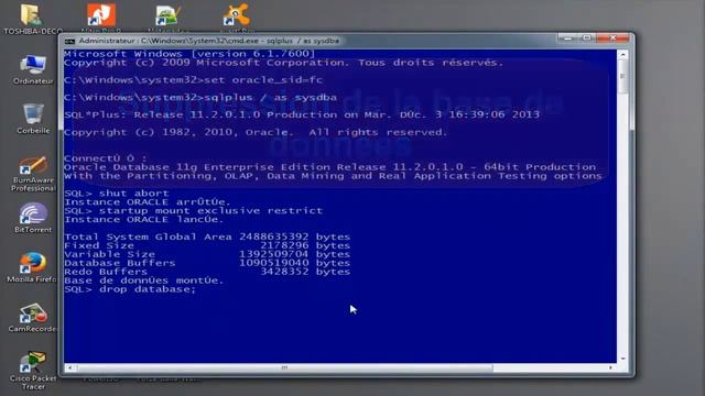 Supprimer manuellement une base de données Oracle 11g смотреть онлайн