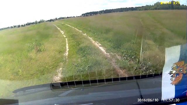 На лугу пасутся КО... ,правильно, Коровы и Телята. Стадо в поле. смотреть онлайн