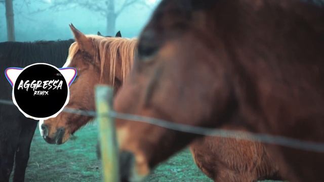 Лучшие ремиксы всех времён ! Музыка в машину !Хит этого года ! Новогодний плейлист ! Песни и ремикс смотреть онлайн