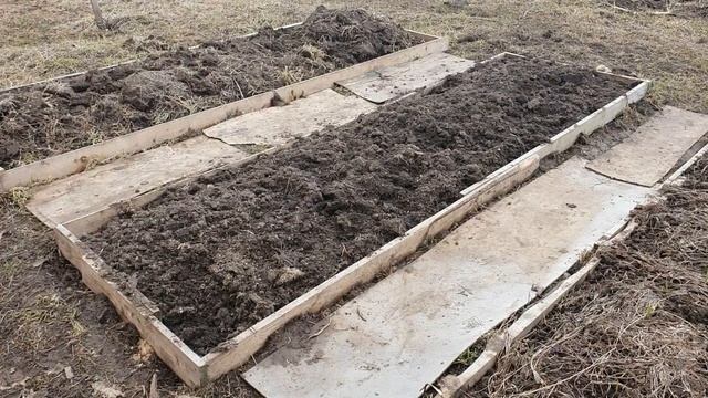 Про грибной суп и красивые гряды. Люблю трудиться...