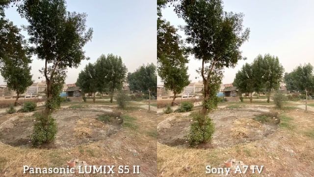 Panasonic Lumix S5 II VS Sony A7 IV Camera Comparison смотреть онлайн