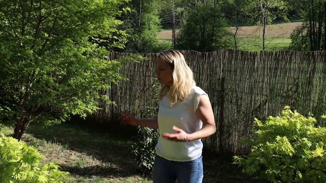 Japanese Garden Summer Tour | Our Japanese Garden Escape