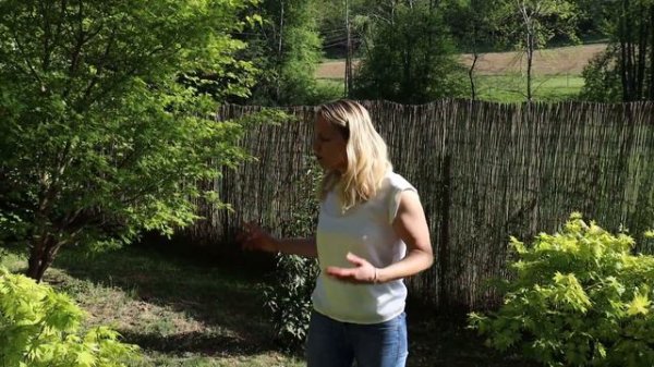 Japanese Garden Summer Tour | Our Japanese Garden Escape