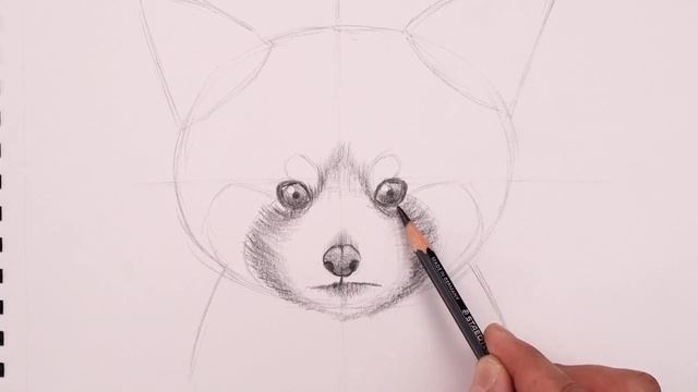 How To Draw Red Panda | Sketch Tutorial смотреть онлайн