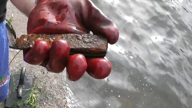 Поисковый магнит в Санкт Петербурге Горсткин мост р Фонтанка ( утюг топор) смотреть онлайн