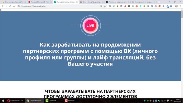 Обзор курса по заработку на партнерках через Live трансляции ВК смотреть онлайн