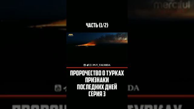 Пророчество о турках (1) смотреть онлайн