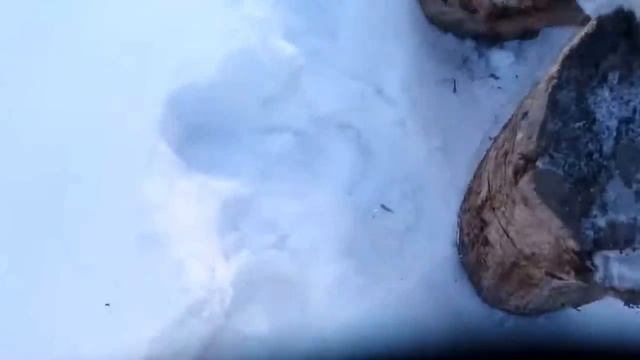 Нож нескладной 12 up Мачете Хищник смотреть онлайн