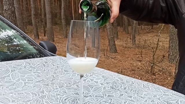 Дегустация на капоте . Асти  Мондоро.@Dionis-Kharkovskiy