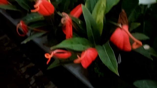 куда-то иду и что-то делаю...еще ем смотреть онлайн