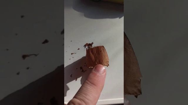 Что такое машинная скрутка сигариллы смотреть онлайн