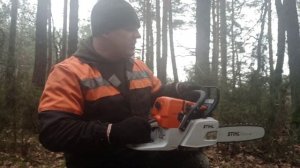 Пилю бензопилой Stihl MS 361.