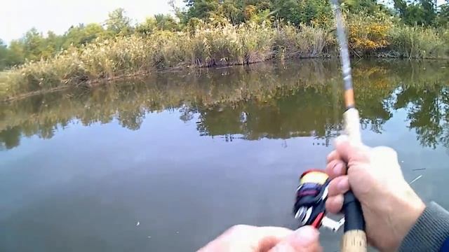 Жор щуки, - китайские составники делают рыбалку.-- 21.10.18. Краснодарский край. смотреть онлайн