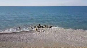 Дорога вдоль моря в Сочи. Поездка на Ласточке из Лазаревского по железной дороге.  3 марта 2020