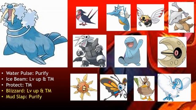 Best Team for Pokémon XD: Gale of Darkness смотреть онлайн