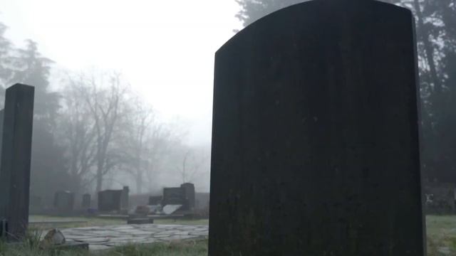 Ангелина. смотреть онлайн