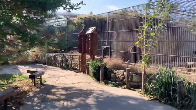 В зоопарке с.Васильевка ( октябрь 2020г - Украина 🇺🇦) смотреть онлайн