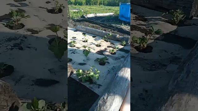 #Термоукрывной материал. #Термоткань от дяди Вити. Шикарные результаты тестирования 08.05.2023