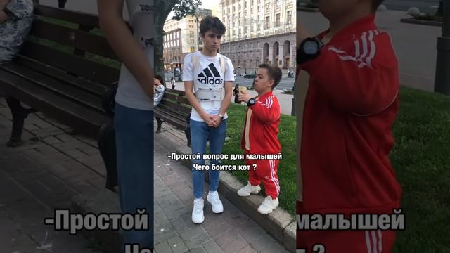 Загадки с подвохом смотреть онлайн