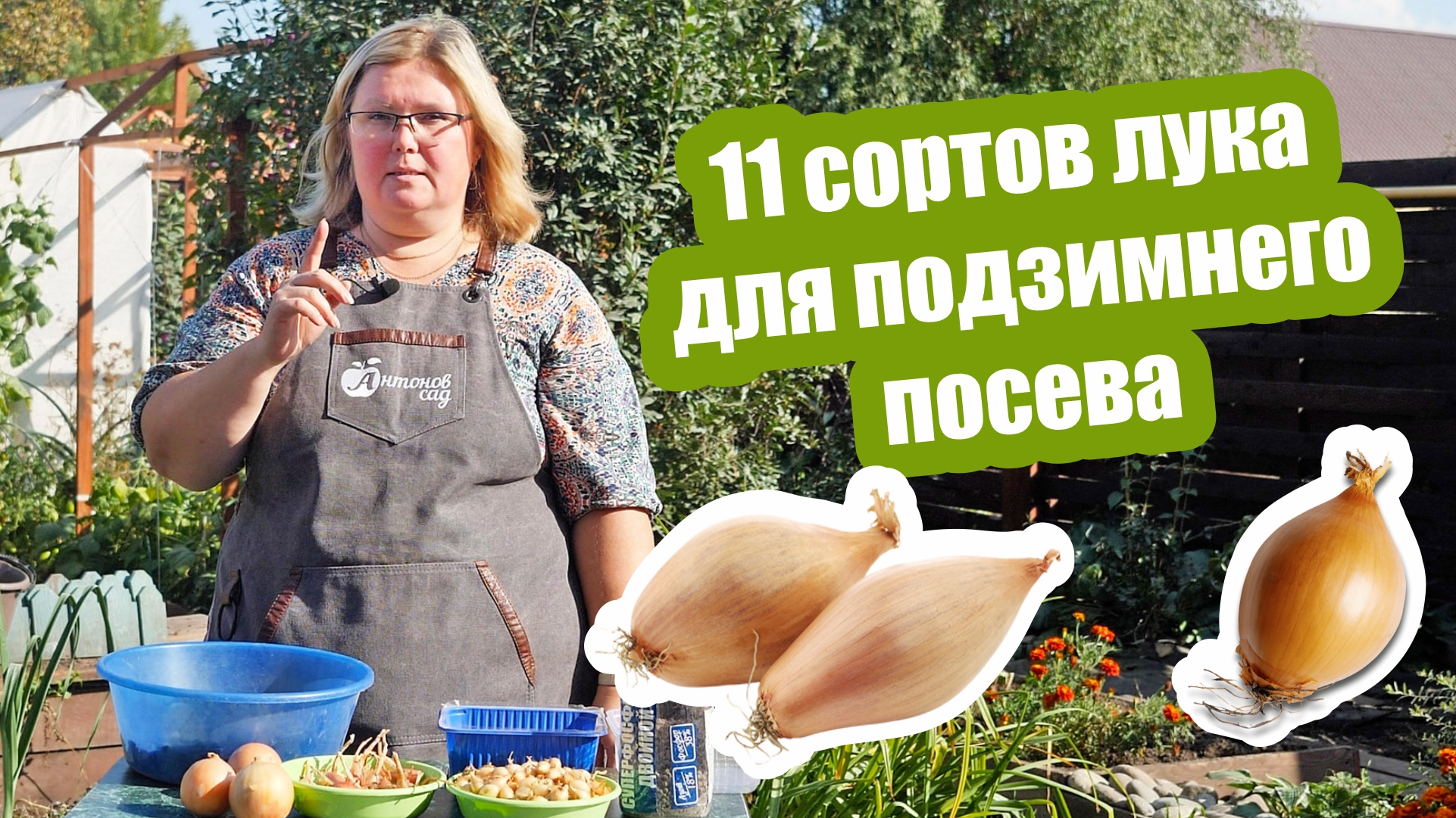 Подзимний посев лука севок и шалот. ? Просто и наглядно. смотреть онлайн