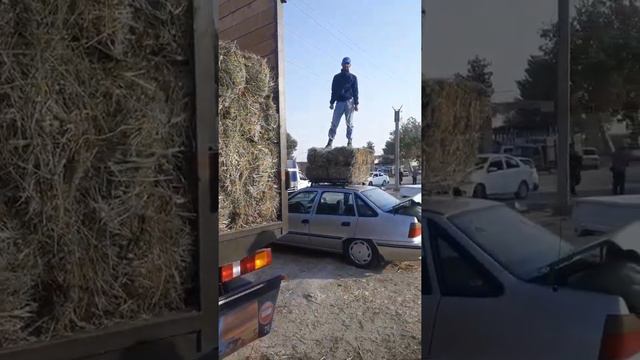 САМАРКАНД СЕЛИСКИ КИРЧА БЕДА НАРХЛАРИ смотреть онлайн