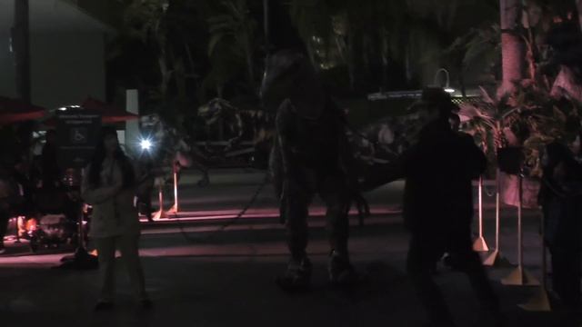 Jurassic Park Bravo Raptor Encounter Full Nighttime Experience At Universal Studios Hollywood CA