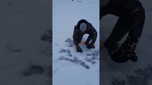 Зимняя рыбалка в Брянске 2022 год. Окунь на жерлицу смотреть онлайн