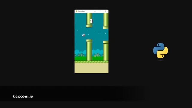 Python проекты смотреть онлайн