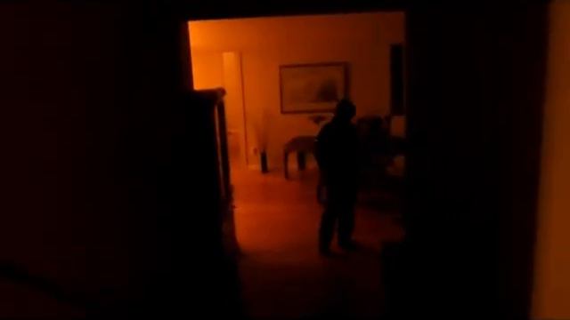 The Visitor (Thriller)