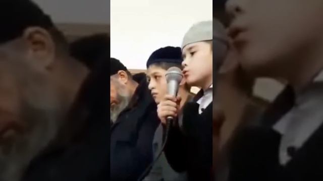Красивое чтение Корана 🕊 Онлайн-уроки по Корану, обращаться по номеру: ‪8928 978‑77‑13‬ смотреть онлайн