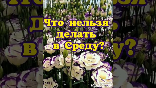 Что нельзя делать в Среду? смотреть онлайн