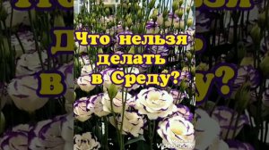 Что нельзя делать в Среду?