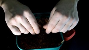 Самодельная прикормка для флэт метода Как забивать кормушку