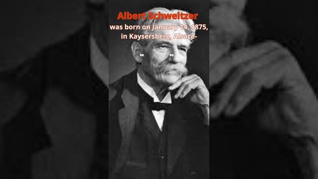 Albert Schweitzer смотреть онлайн