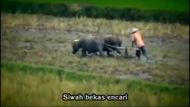 PINCALA | Tiofanta Pinem | Musikalisasi Puisi Karya karya TariganU ciptaan Julianus Liembeng смотреть онлайн