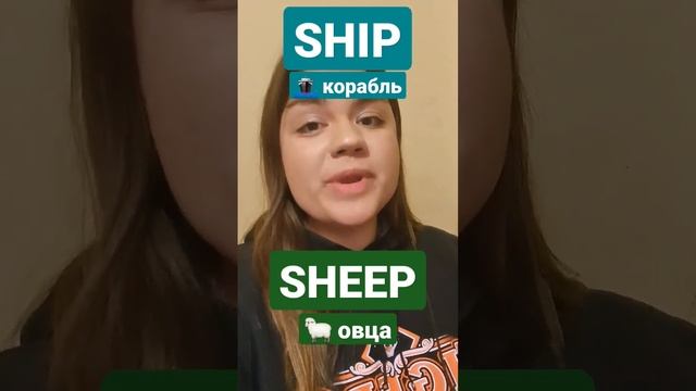 А вы правильно произносите английские слова sheep и ship? Давайте проверим смотреть онлайн