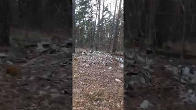 Володарский лес превратили в помойку смотреть онлайн