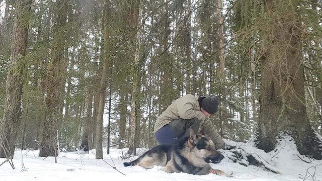 Поход в лес. Снова морозы,снова снег. Стейки на углях! смотреть онлайн