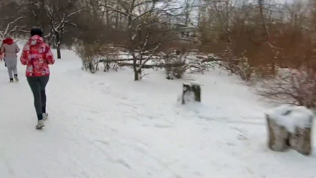 2018.12.01 Час бега Открытый урок смотреть онлайн