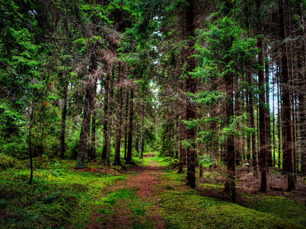 8 Часов Расслабляющая Музыка для Сна, Инструментальная Музыка, Медитация во Сне