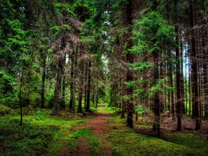 8 Часов Расслабляющая Музыка для Сна, Инструментальная Музыка, Медитация во Сне